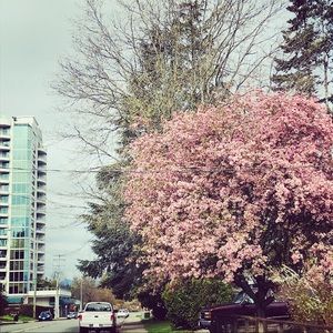 Meet your Posher, Lyza lyn marie